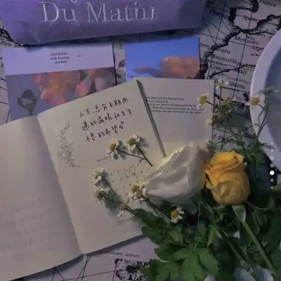 认真生活的精致头像唯美图片大全高级感的小众ins风背景图头像