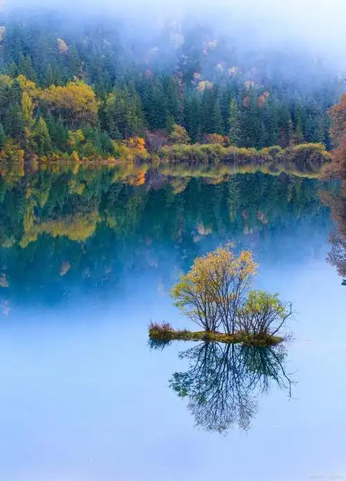 九寨沟国家级自然保护区位于四川省阿坝州九寨沟县漳扎镇境内,是一个