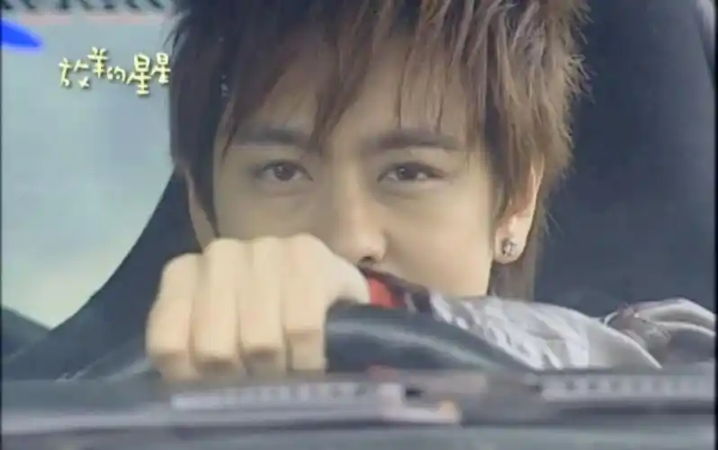 放羊的星星最爱的一个片段也许夏之星就是从这爱上仲天骐了