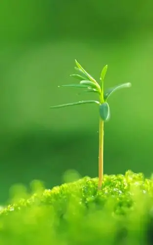 任何手机可用!有的人可能不知道