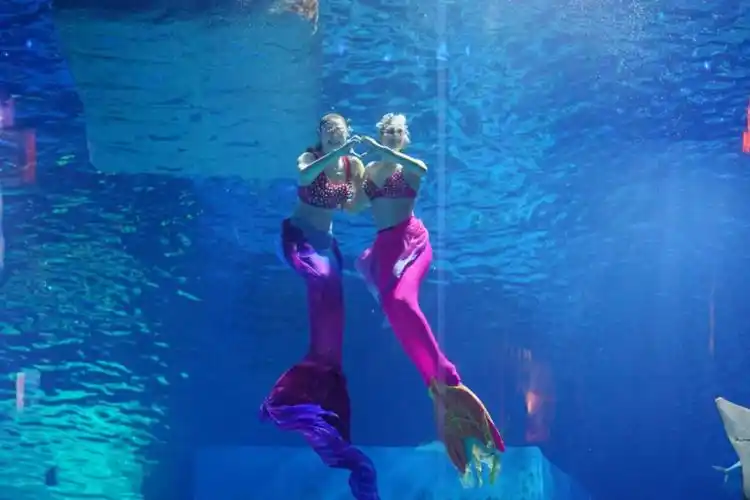 五一假期广州有美人鱼上演人鱼秀