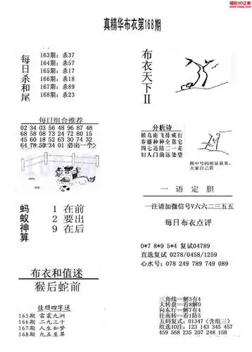 3d17168期真精华布衣天下123456_3d布衣图库_3d之家