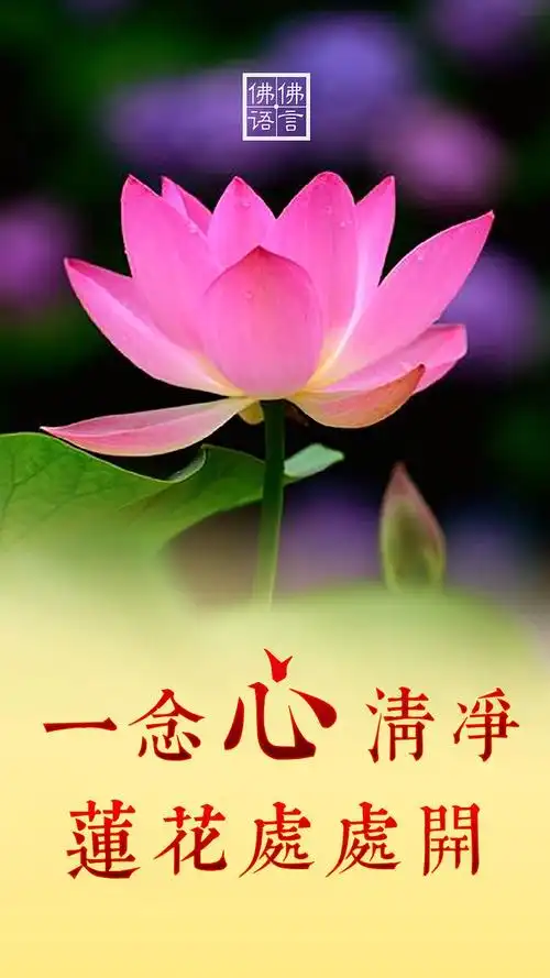 周月兰网上纪念馆