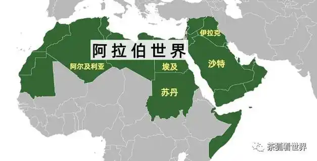 巴以冲突背后,是尴尬的阿拉伯世界|埃及|约旦|阿联酋|突尼斯|巴勒斯坦
