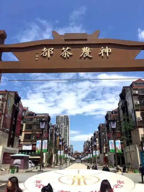 神农茶都.高桥大市场.雨花非遗民俗艺术街区.