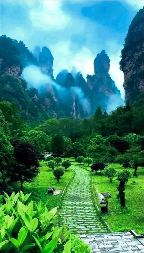 青山绿水鸟语花香