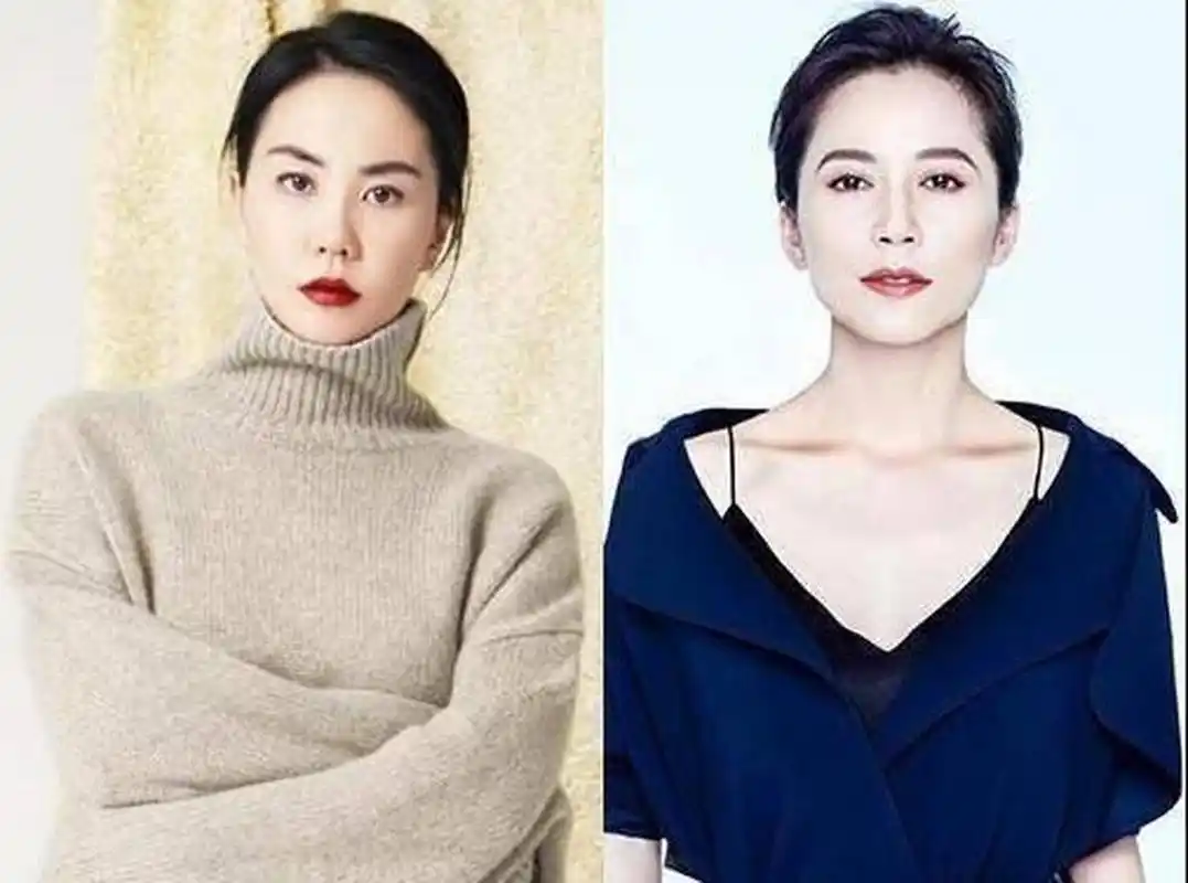 王菲,俞飞鸿撞脸年龄只相差2岁容颜却相差了近20岁!