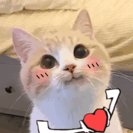 猫咪比心动图,给你小心心_撩妹撩汉_猫咪_心动图_小心表情