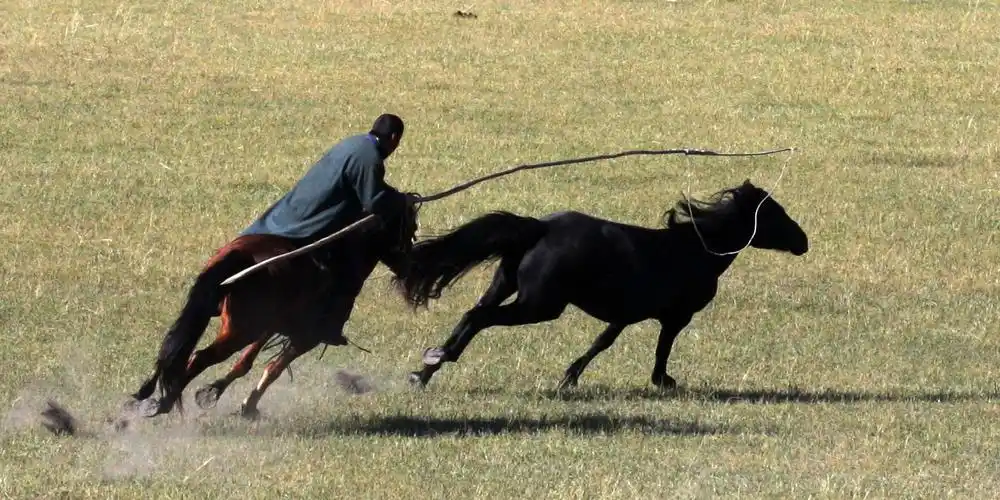 套马杆～蒙古民族的骄傲