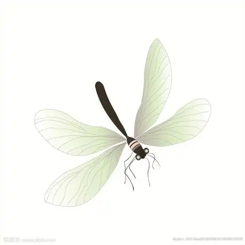 蜻蜓飞走了,她要把这种信念传达给同伴和后代.