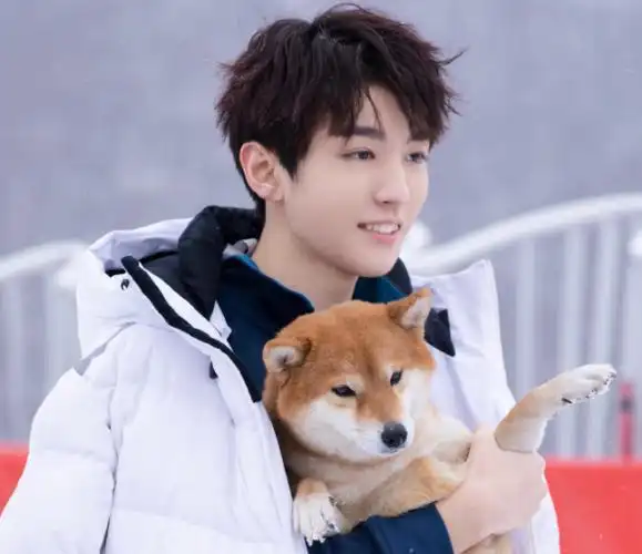 王俊凯首次尝试樱花粉发色,本以为会很丑,结果秒变"樱花王子"