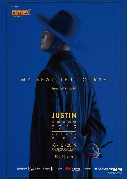 16款经典明星演唱会海报设计