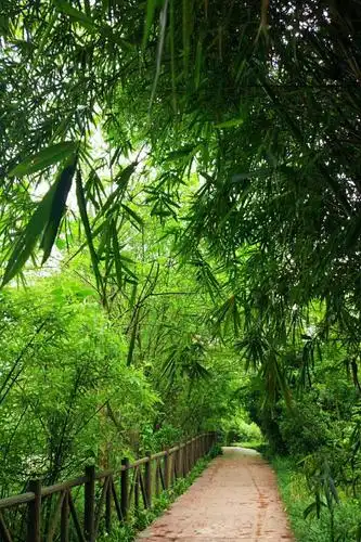 浓夏时光.醉心清宁