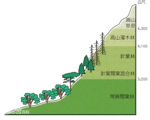 展开全部 海拔3600米左右地区应该是灌木带和高山草原带
