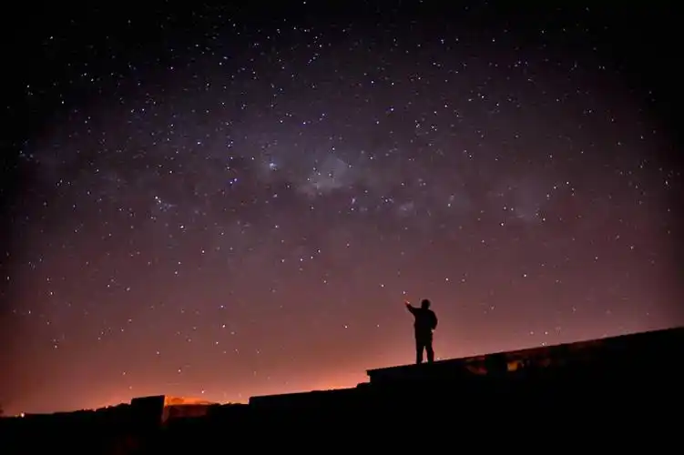 仰视,新西兰,仅一个男性,指,河岸,星星,宏伟,指点,天空,自然,向上看