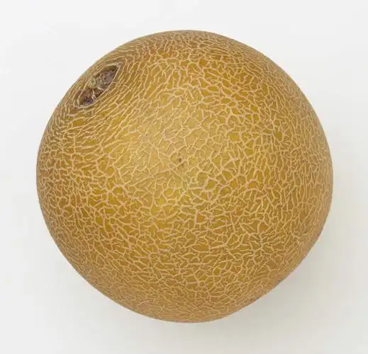 无人,横图,室内,特写,白天,白色背景,正面,静物,水果,新鲜,圆形