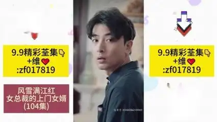 风雪满江红&女总裁的上门女婿(104集)全集一口气看完