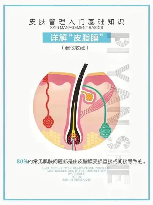 入门级皮肤专业知识——了解皮肤·皮脂膜91从专业角质讲,皮脂膜并
