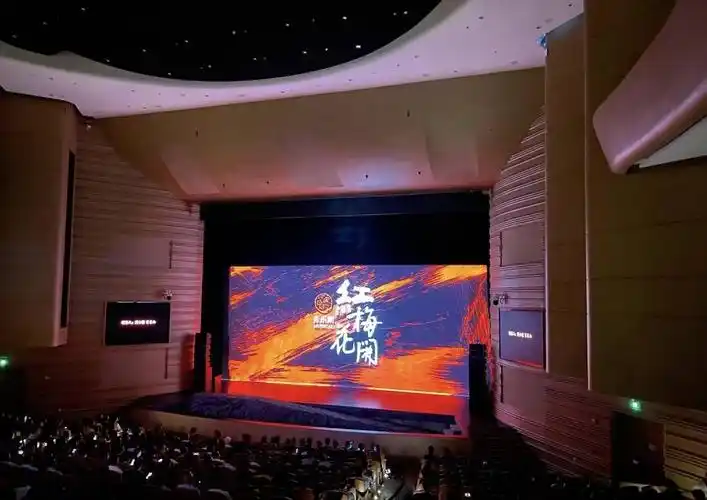 四川大学艺术学院副院长焦阳红梅花开在专业教育与思政教育中找到契合