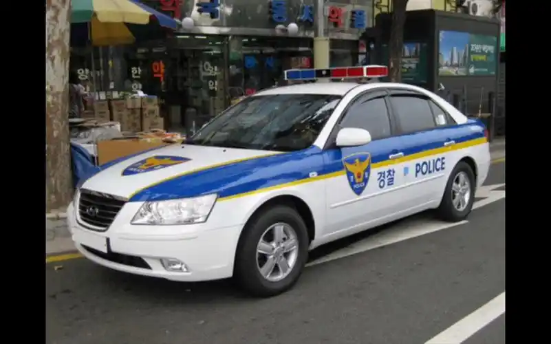 【car parking】韩国警车涂装展示