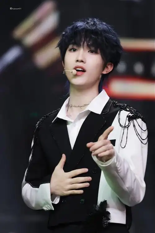 renaissance·苏新皓