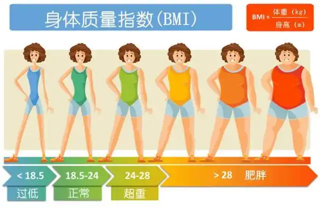 寿命和体重有关?新研究发现:60岁以后的人,微胖或有益于健康!