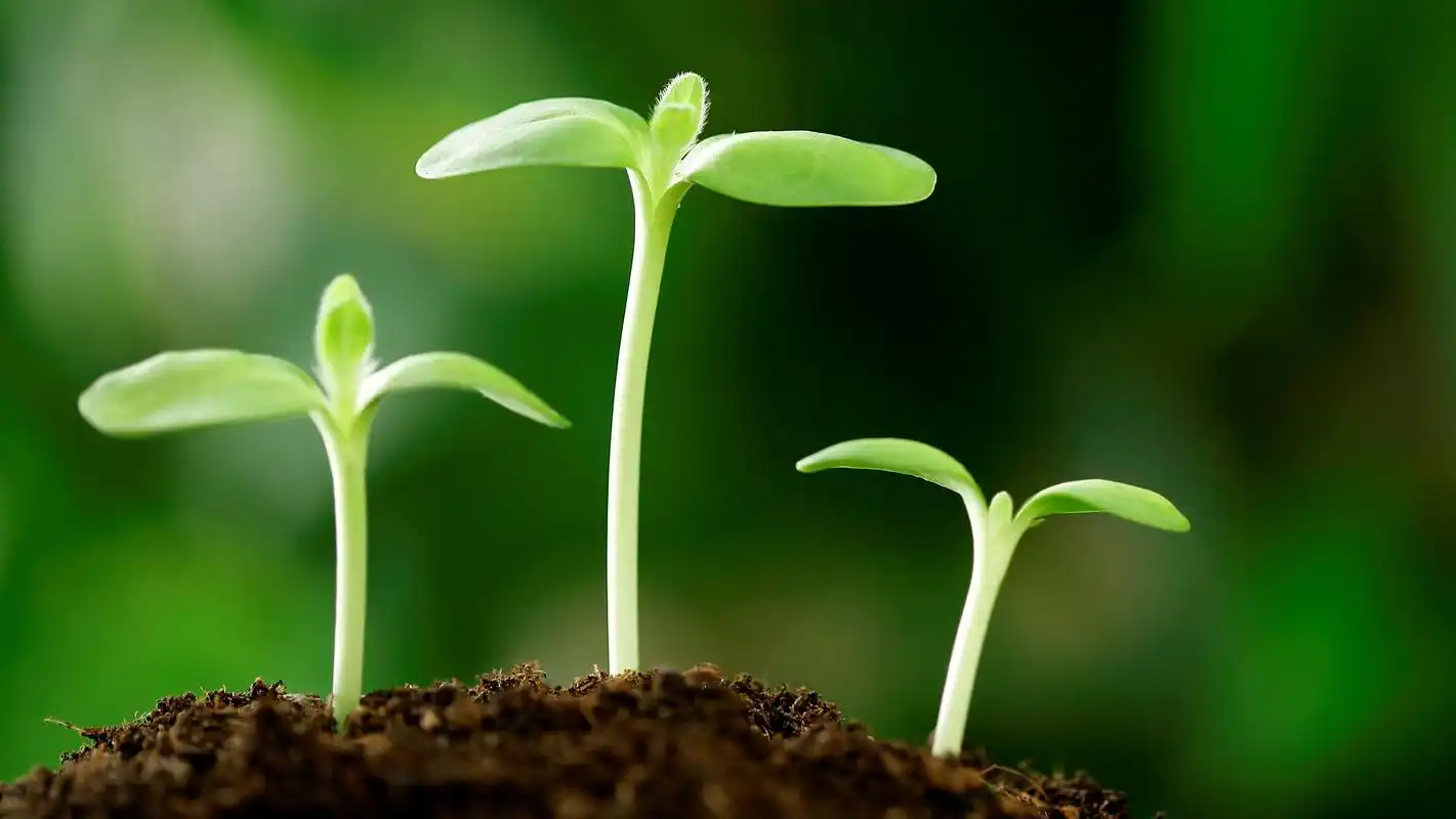 高清风景图片4k电脑壁纸pc端16:9