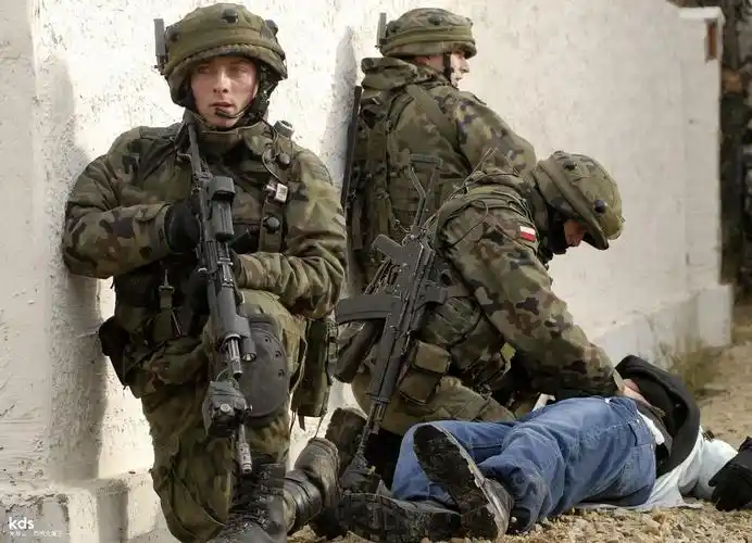 主题:21世纪初波兰军队