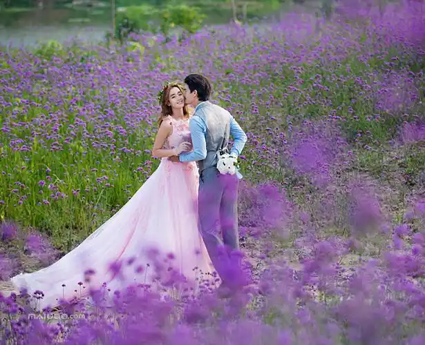 花田里的恋曲 唯美田园主题婚纱摄影高清图片-薇晴结婚网