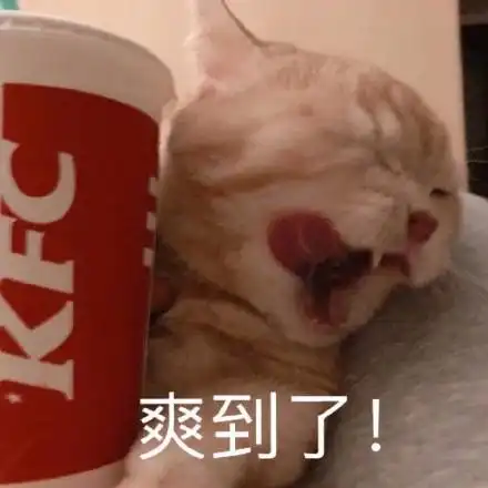 爽到了 猫咪喝可乐_可乐_猫咪_爽到表情