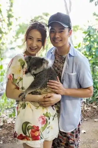 爱情公寓主角狗血情史陈赫出轨邓家佳结婚图