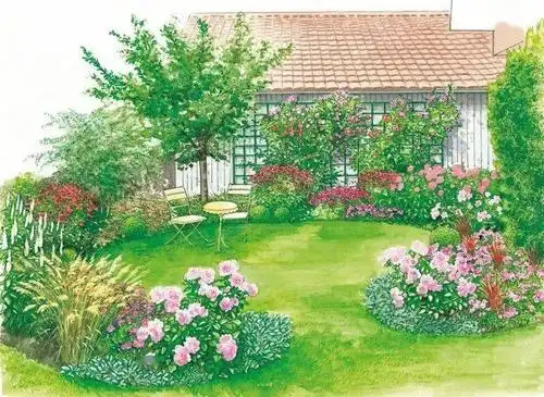 花园风格| 28个小花园手绘,先收藏好,随时备用好造园!_月季