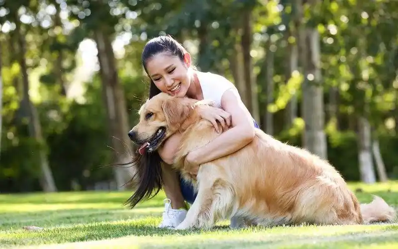 为什么女孩们都喜欢养大型犬,特别是单身女性?原因无法反驳