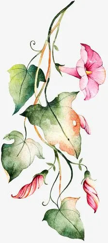 水彩花卉装饰图案免抠素材免费下载_觅元素51yuansu.com