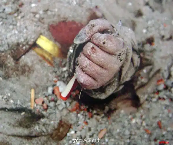 2008年5月12日四川省汶川县发生里氏80级特大地震据不完全统计