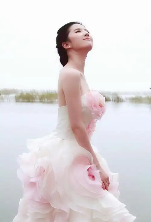 你们看过刘亦菲的吴中宣传片么?每个造型都美如画!