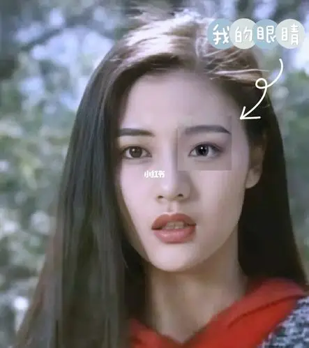 姐妹们求指导|试了下李嘉欣眼妆_李嘉欣_眼妆_仿妆_美妆_彩妆