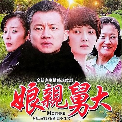 溥畔娘舅大 dvd碟片光盘 黄曼 张铎 农村家庭情感电视剧