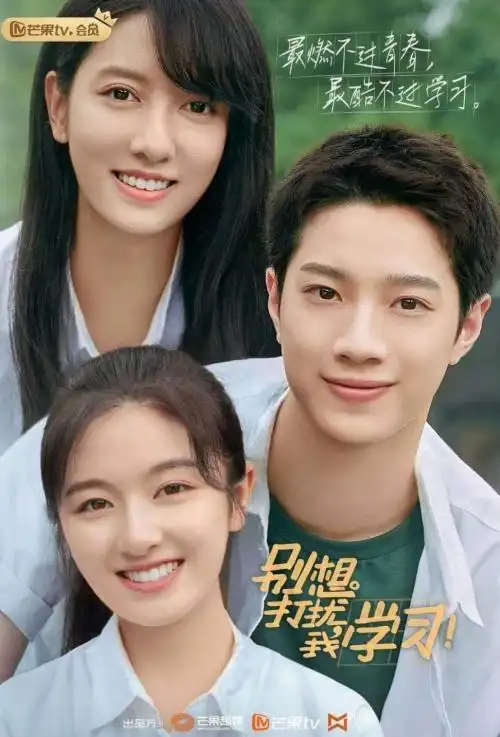 "别想打扰我学习"李兰迪赖冠霖演绎成长中的青春