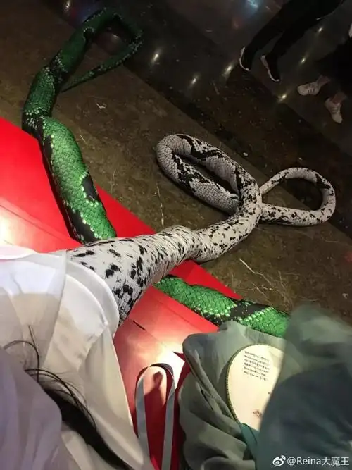 这两位小姐姐万圣节cos蛇精,很逼真,也太好看了吧