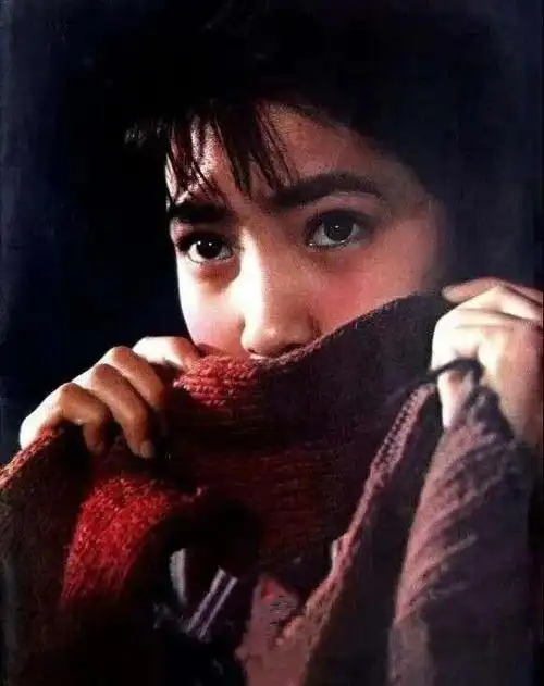 沈丹萍:换过50多个保姆,提过100多次离婚