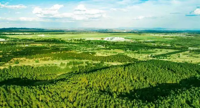 建设北疆生态安全屏障蒙草一直在努力