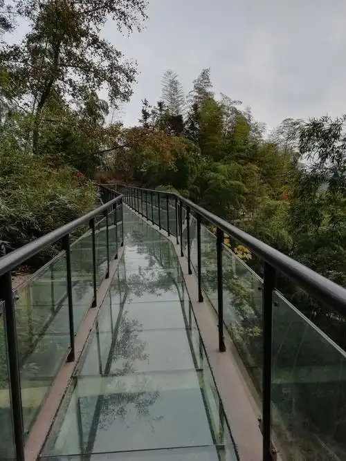 亲身体验那种走在玻璃栈道上让人眩晕的落差感,以及有着恐怖