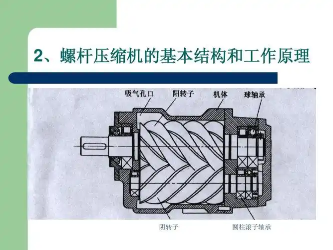 压缩机基础培训课件 2,螺杆压缩机的基本结构和工作原理 , 阴转子