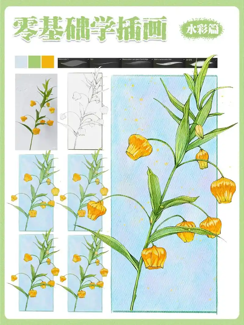 零基础学插画丨线性水彩插画教学步骤