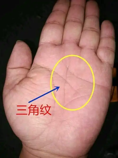 三种旺夫的女人手相,快快把她娶回家!!