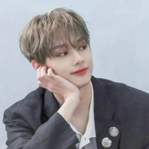 微信头像seventeen文俊辉