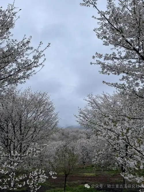 古玉收藏行家是如何炼成的一百二十七塖州市古董市场即存厮杀也见修养