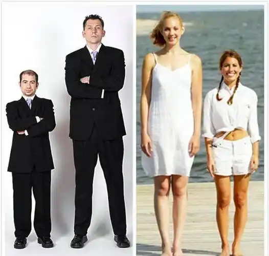 研究_身高_几率