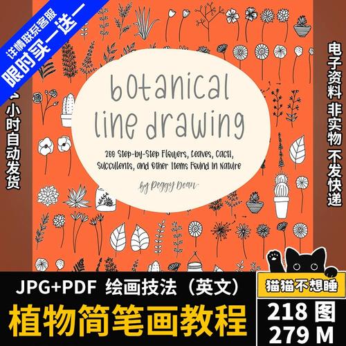 植物简笔画教程 步骤教学 花朵树叶仙人掌 零基础绘画 绘画素材